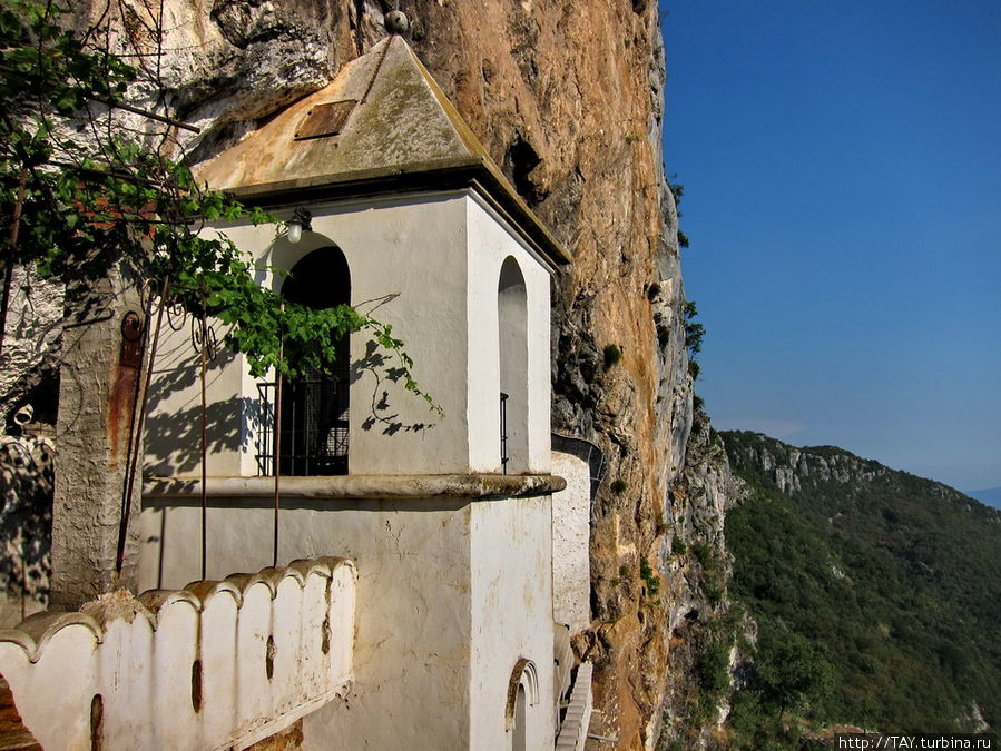 Высокогорная лоза монастырь Острог, Черногория