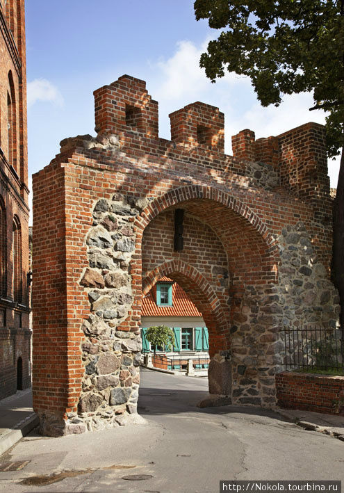 Руины тевтонского замка Торунь, Польша