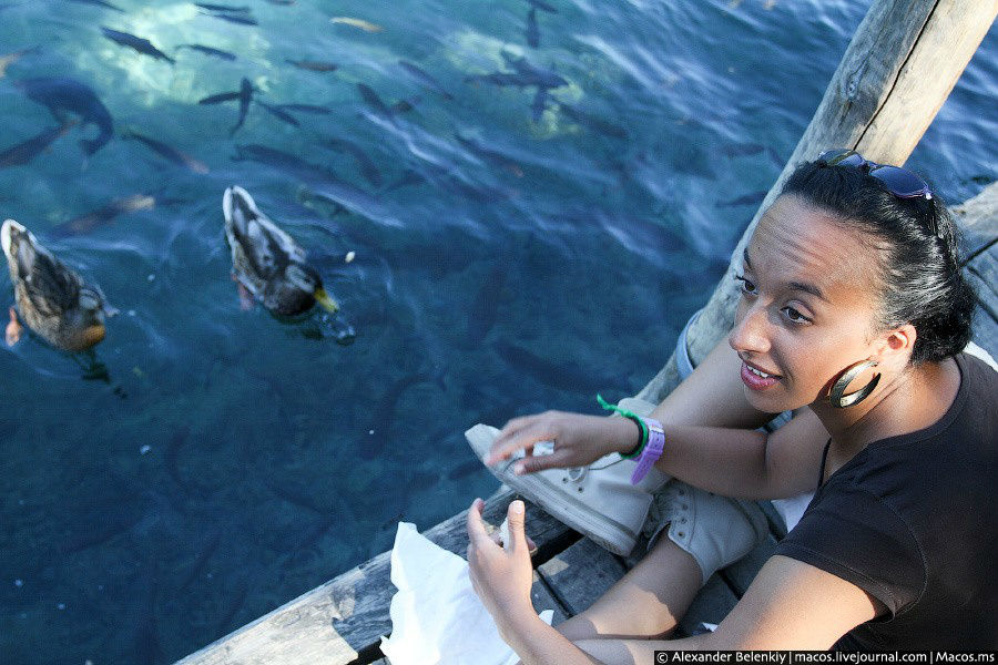Мне кажется, эта девушка чем-то похожа на уток, которых она кормит. Национальный парк Плитвицкие озёра, Хорватия