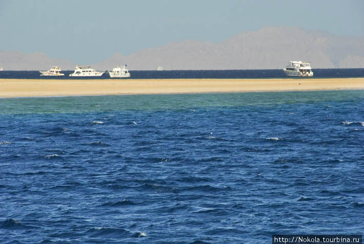 Заповедник Рас Мохамед. Красное море Шарм-Эль-Шейх, Египет