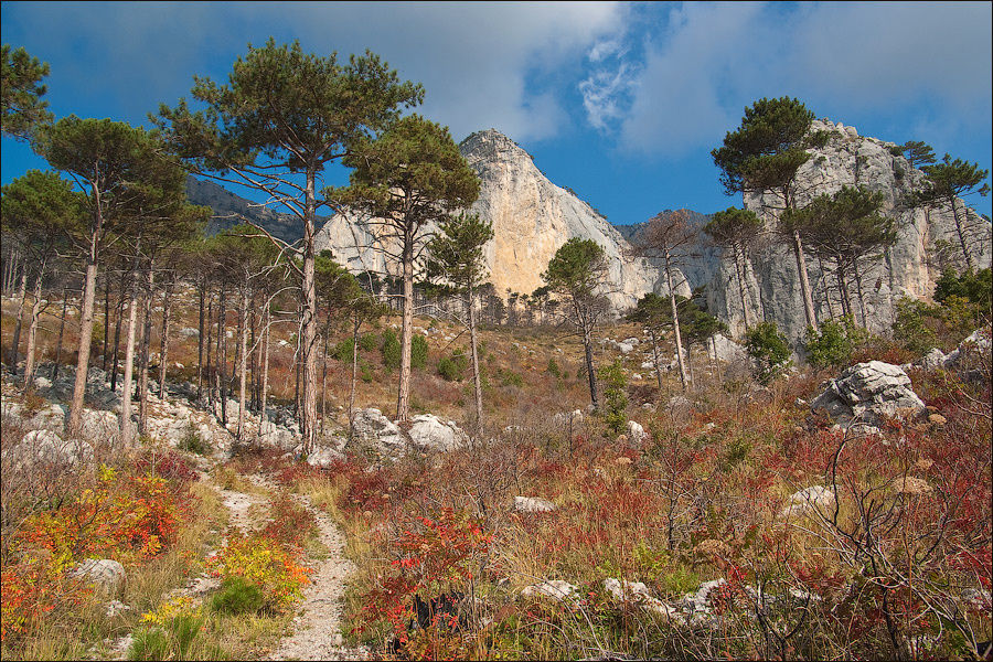 Крымский Шанхай Алупка, Россия