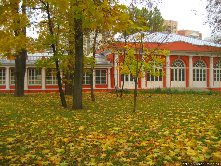 Осень отразилась в прудах Воронцовского парка. Москва, Россия