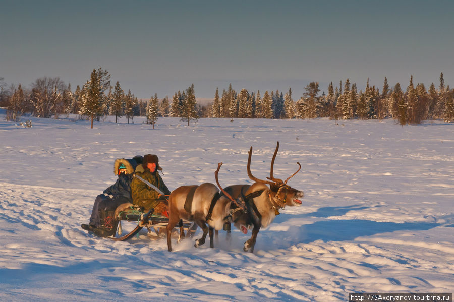 Северное сияние. Кольский полуостров. Ловозеро, Россия