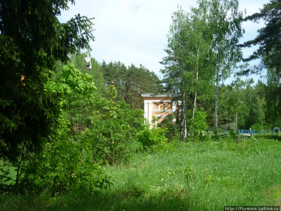 Купить Участок В Восточном Поселке