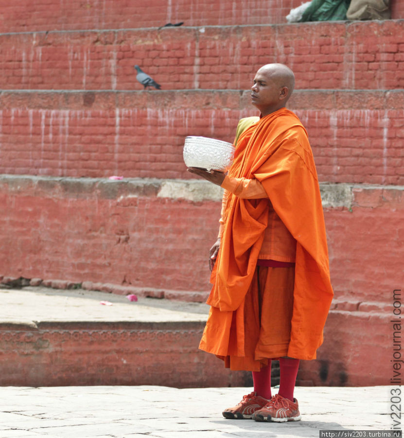 монах просит пожертвования Непал