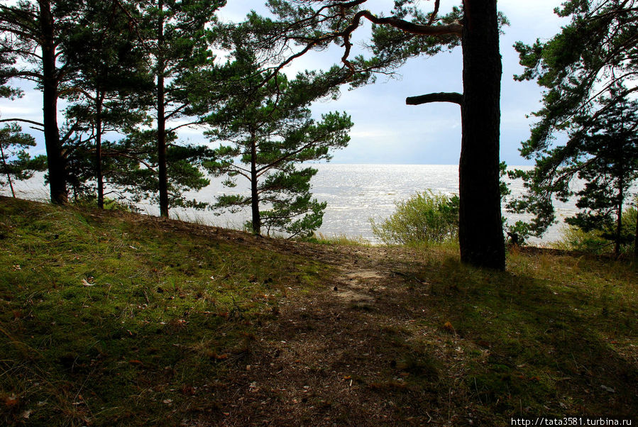 Монастырь староверов на Чудском озере Рая, Эстония