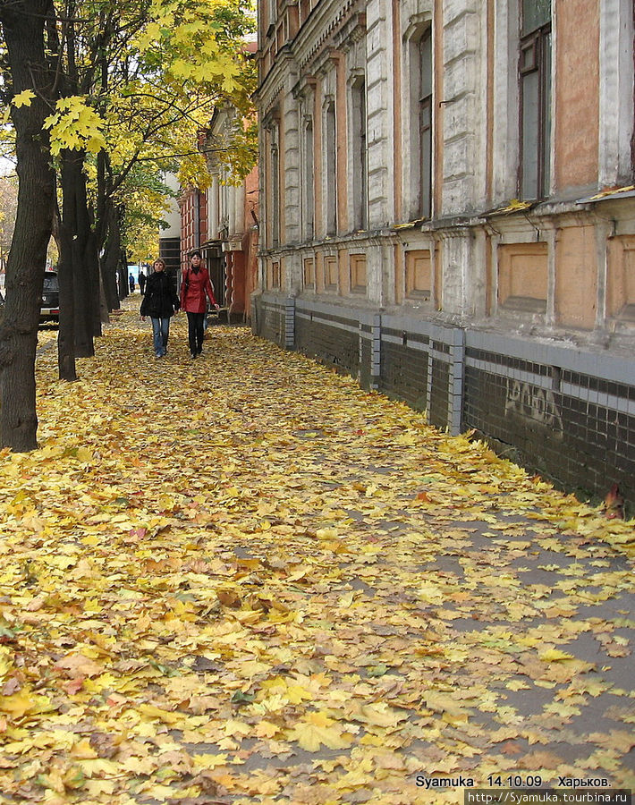 Октябрь в городе... Харьков, Украина