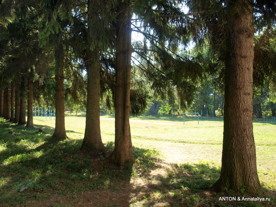Город лошадиных повозок - часть 5. Усадебный парк с пчелами Млинов, Украина