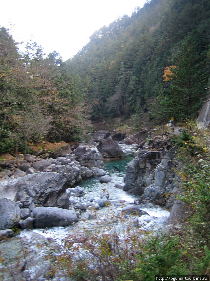 Ущелье изумрудной реки или про растущие на камнях деревья Префектура Нагано, Япония