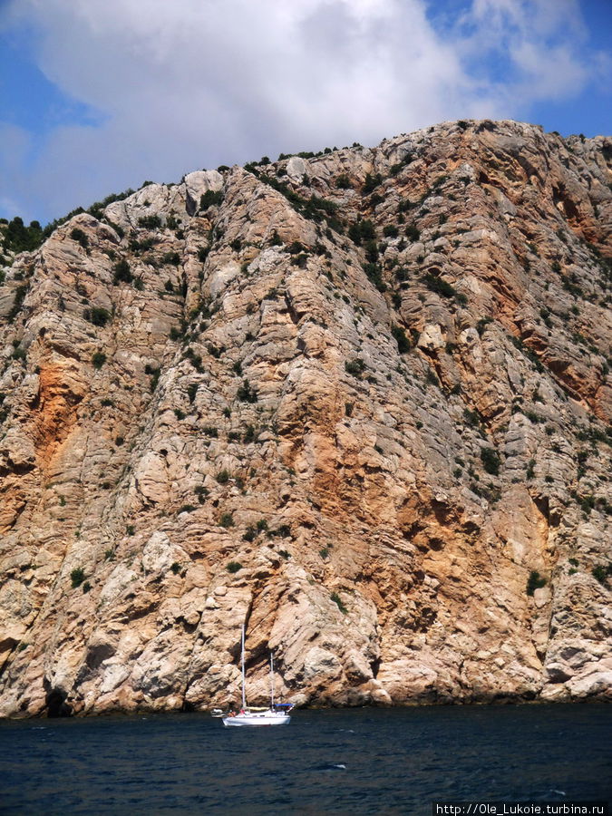 Тигровые скалы: на обрыве берега чередуются полосы желтоватого известняка и тёмного трахита, что напоминает тигровую шкуру Область Севастополь, Россия