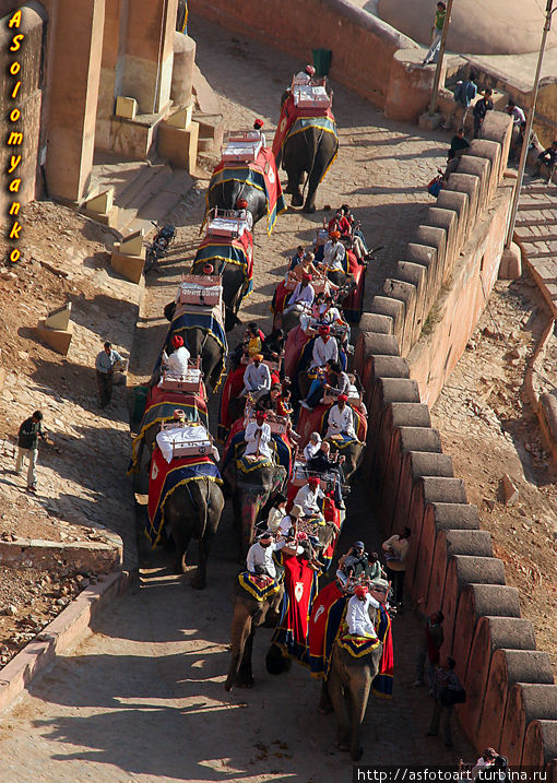...и здесь бывают пробки! ( в основном из-за продавцов) Джайпур, Индия