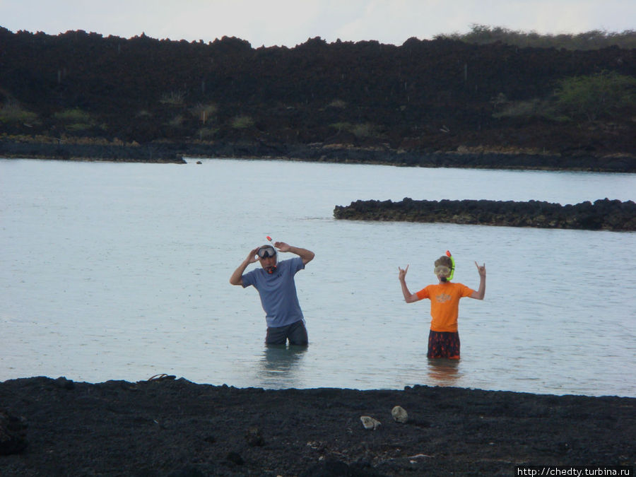 Жемчужина в океане. Мауи (окончание) Лахаина, CША