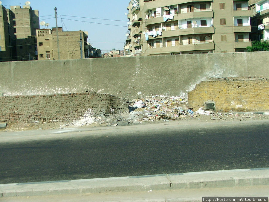 Мусор и овцы на улицах часто встречающееся явление. Прибавим жару и получаем чудесный аромат города. Каир, Египет