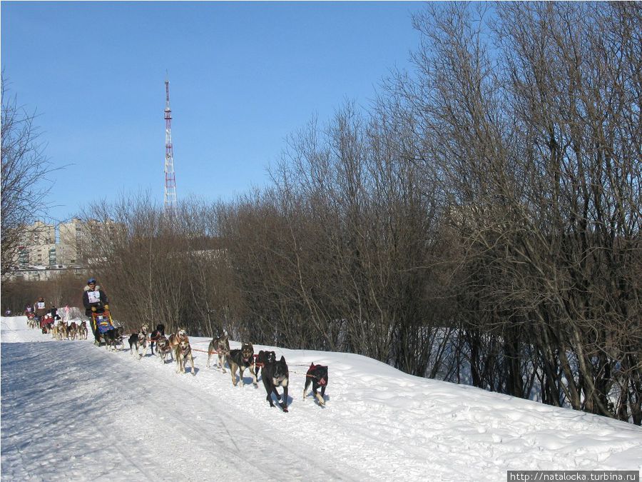 Признание в любви. Мурманск Мурманск, Россия