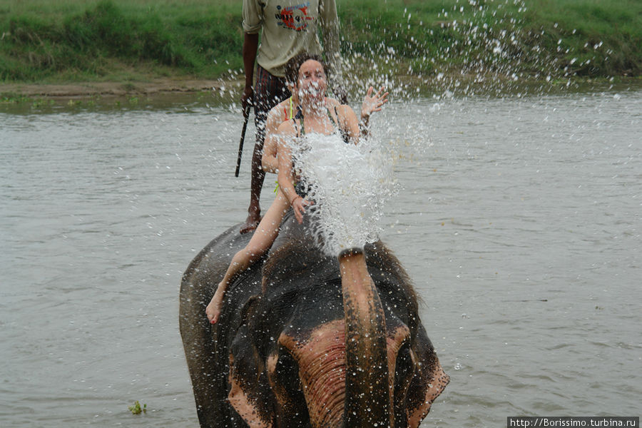 Это очень весёлое занятие — принимать слоно-душ, сидя на широкой тёплой спине этого добродушного великана :-). Непал