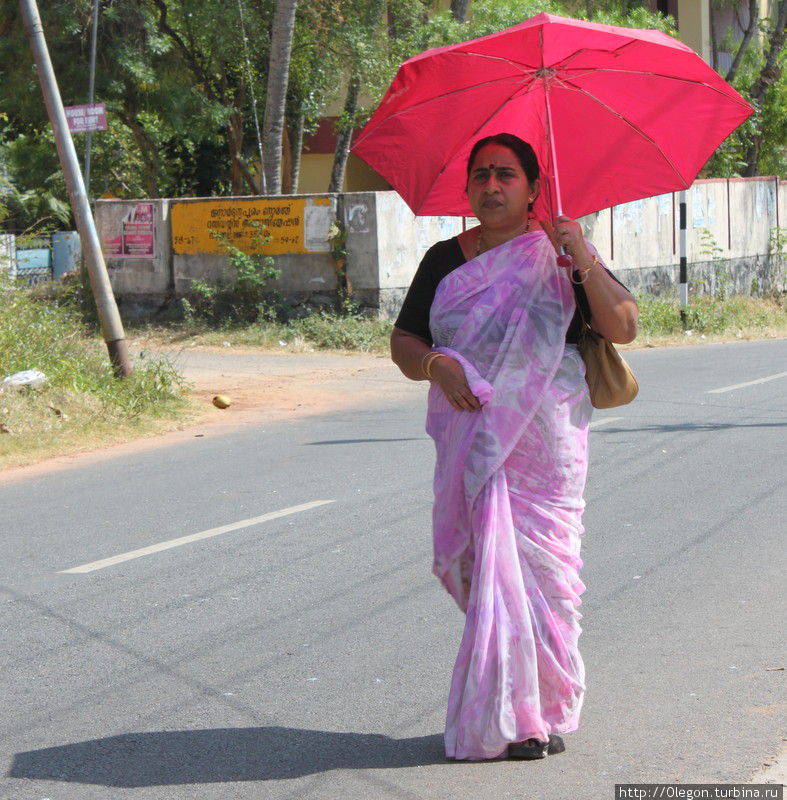 Кокетка с зонтиком Индия