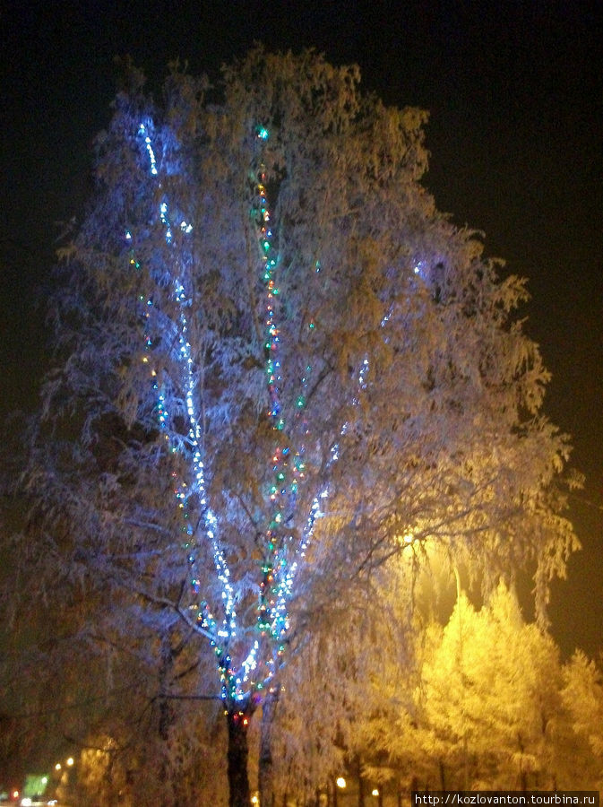 И даже берёзы в Белово светятся по ночам! Кемеровская область, Россия