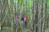 в этот раз не получилось, собираем по лесу группу чтобы поехать дальше и попробовать найти зубров в другой части леса