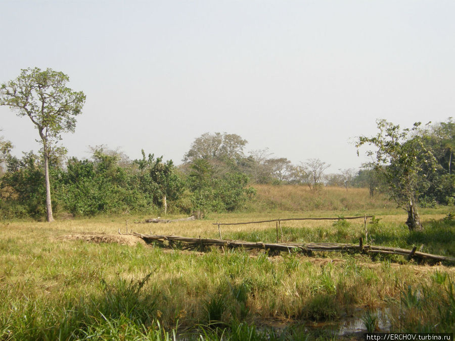 Полусаванна вместо тропического леса Провинция Канкан, Гвинея