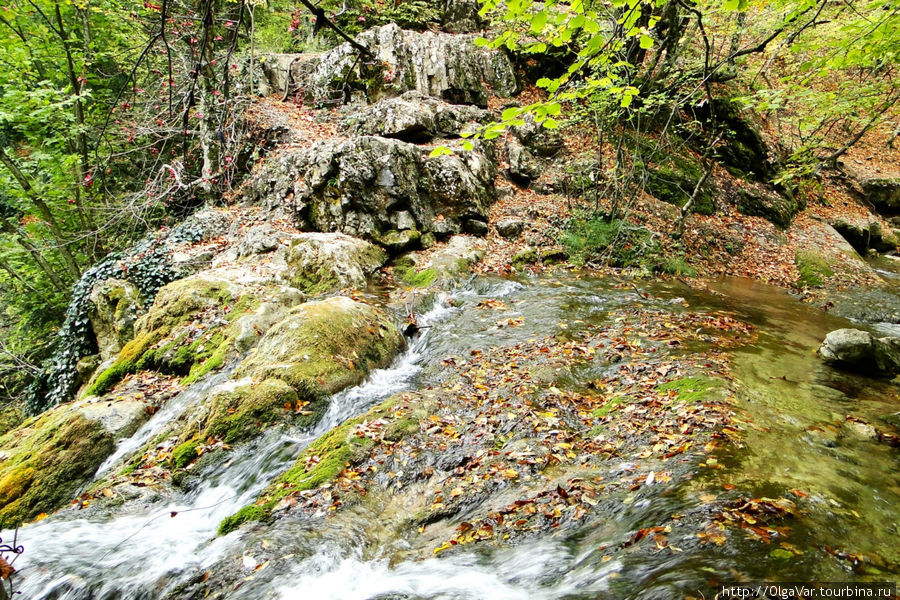Не удивительно, что камни, постоянно омывающиеся  водой, обросли мохом Алушта, Россия