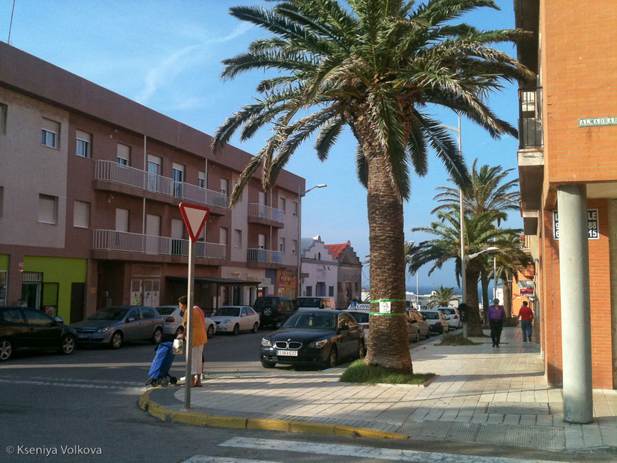 Типичная улочка — невысокие дома, старые пальмы и солнце-солнце-солнце! Ну и конечно насквозь пронизывающий улицы теплый ветер леванте... Тарифа, Испания