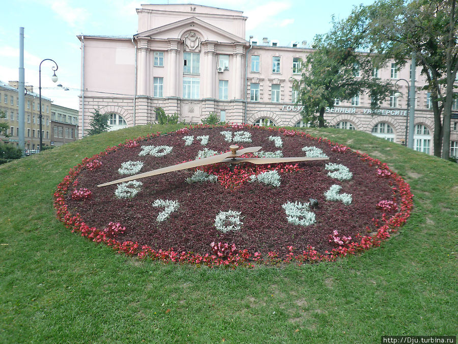 Цветочные часы Санкт-Петербурга Санкт-Петербург, Россия