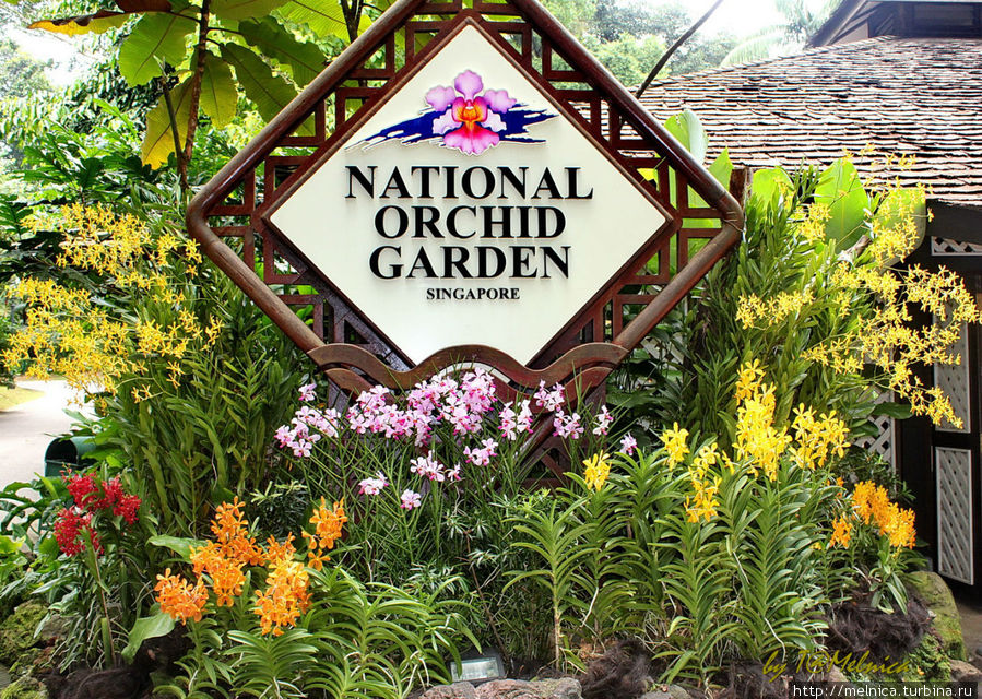 Орхидейная оргия (очень много фото!) Сингапур (город-государство)
