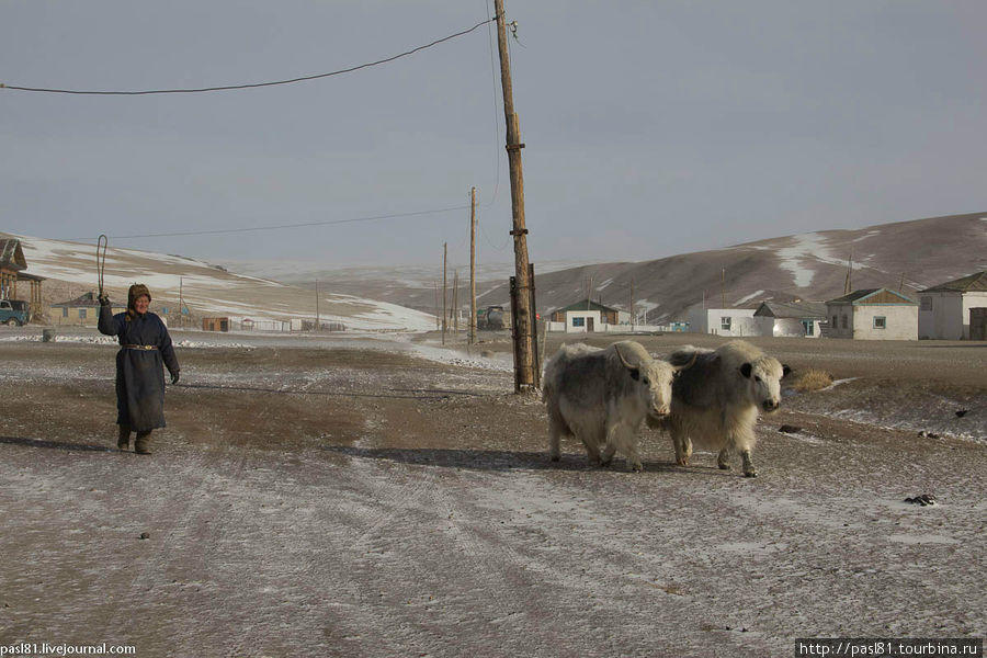 Ведровер – 55. Пограничное гостеприимство. Баян-Улэгэйский аймак, Монголия