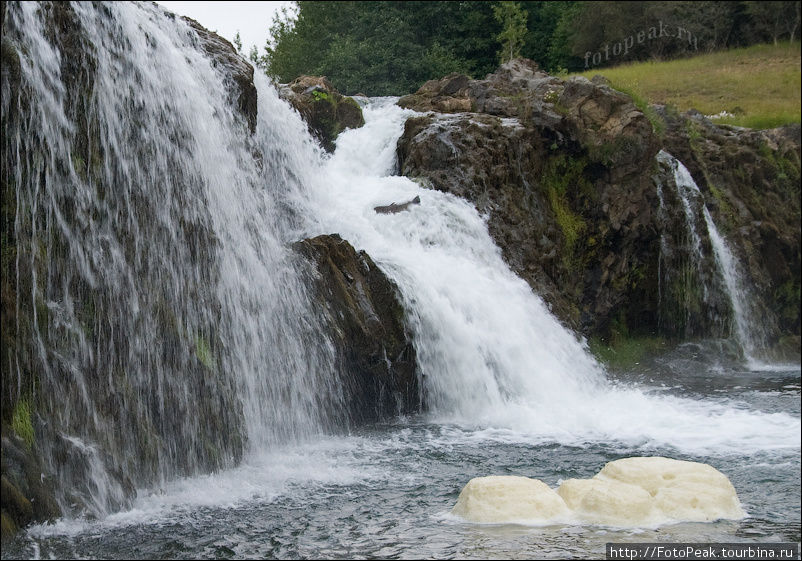 Этот водопадик находится в центре небольшого городка Hveragerdi. Если прийти к нему с утра пораньше, то можно увидеть вот такое вот чудо. Огромный лосось один за одним выпрыгивает из водопада.
У рыбака просто замирает сердце... Южная Исландия, Исландия