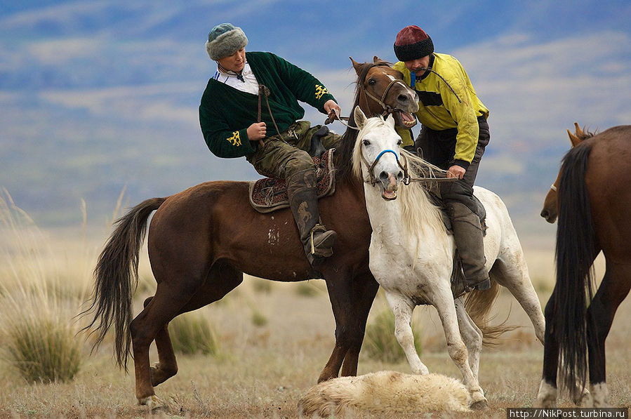 В жизни Казахов умение мастерски управлять конем было жизненной необходимостью. Постоянно шли войны, и, чтобы защитить свой род, требовались могучие, отважные и умелые джигиты. В перерывах между войнами они поддерживали свою силу и сноровку в лихих конных забавах, таких как кокпар. Казахстан