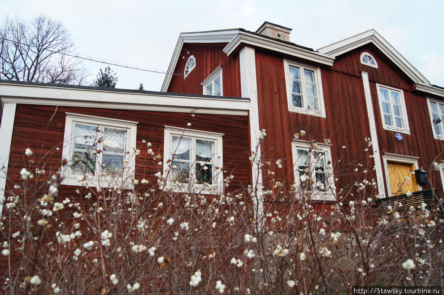 Пенопластовые ягоды на кустах буд-то неупавший снег из мультика Стокгольм, Швеция