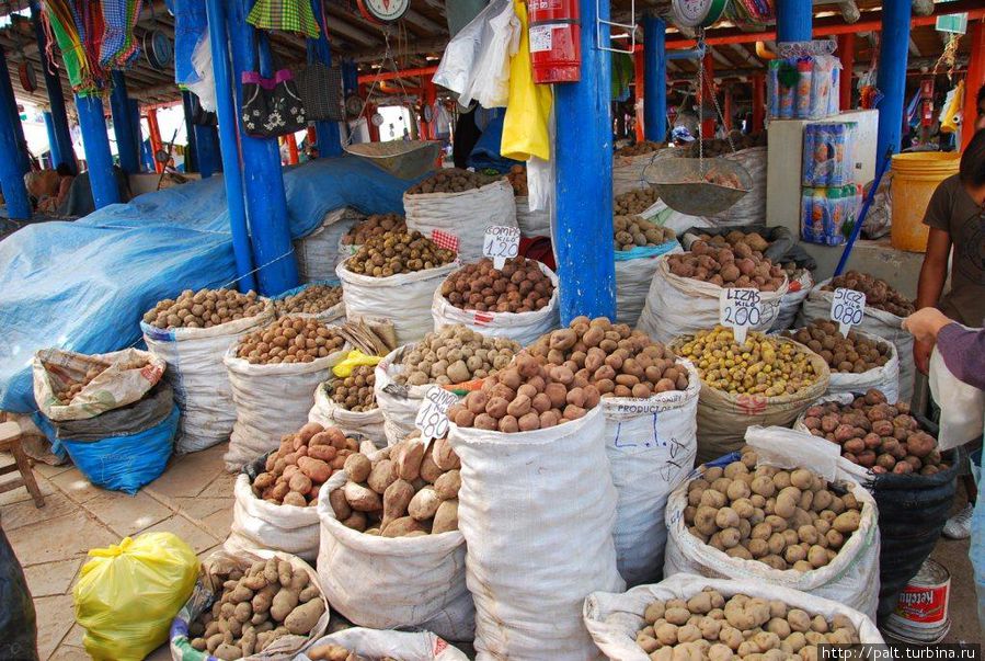 Знакомая картошечка! Куча сортов, как на всяком уважающем себя рынке. Продавцы сначала поинтересуются, для чего вам картошка (жарить, варить, сушить и т.п.) А потом посоветуют, что брать. Конечно, если вы не местный. 
Перу, рынок в Куско, февраль 2012 года Перу