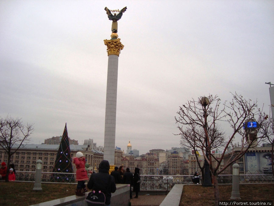 Киевская елка: дома не понравилась, в Европе названа лучшей Киев, Украина
