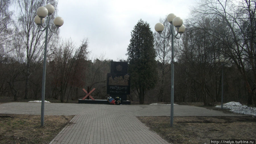 Памятник воинам сфотографировала для того, чтобы ещё раз показать, что кругом лес... Балашиха, Россия