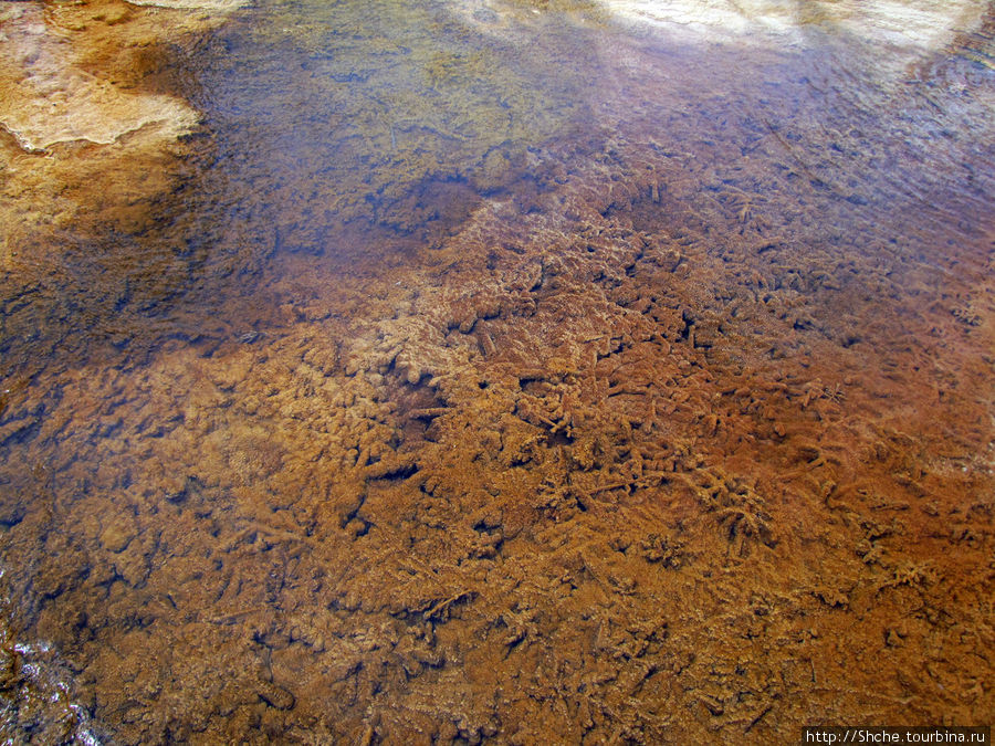 Пространственно-цветовые вариации Мамонтовых источников Йеллоустоун Национальный Парк, CША