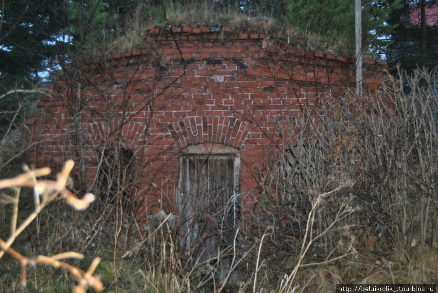 Ледник