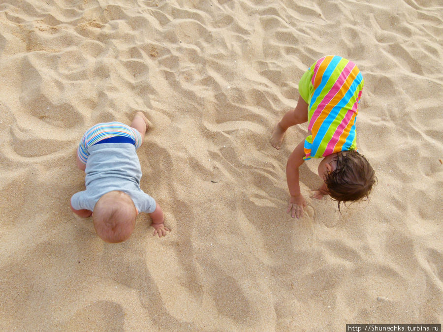Полоска песка длинною в жизнь