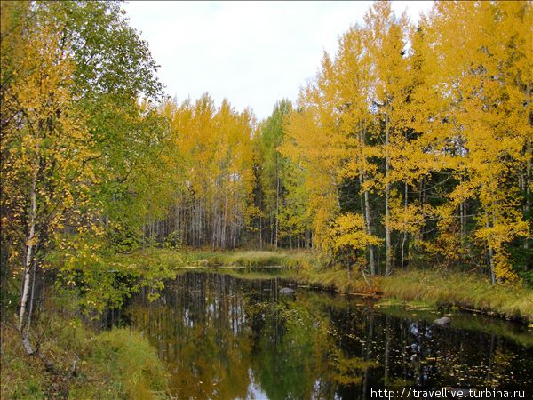 Экспедиция на квадроциклах 