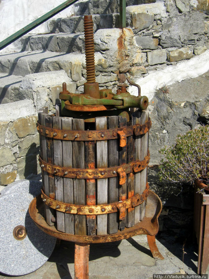 Это для вина Чинкве-Терре Национальный Парк, Италия