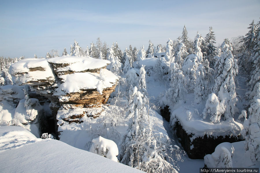 Заснеженный лес и Каменный город Пермский край, Россия