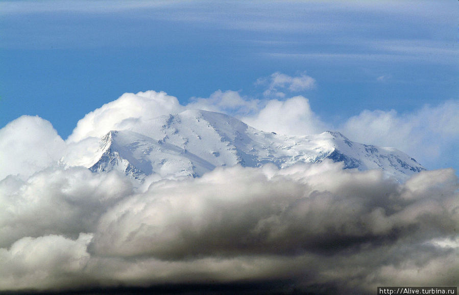 Верхушка пика редко появляется на люди из-за облаков Национальный парк Денали, CША