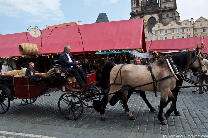 Лошадки катали людей Прага, Чехия