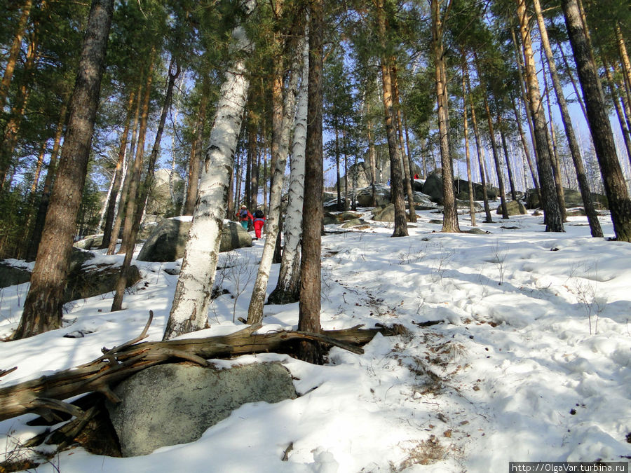 Подъем на скалы Три брата может показаться крутым Невьянск, Россия