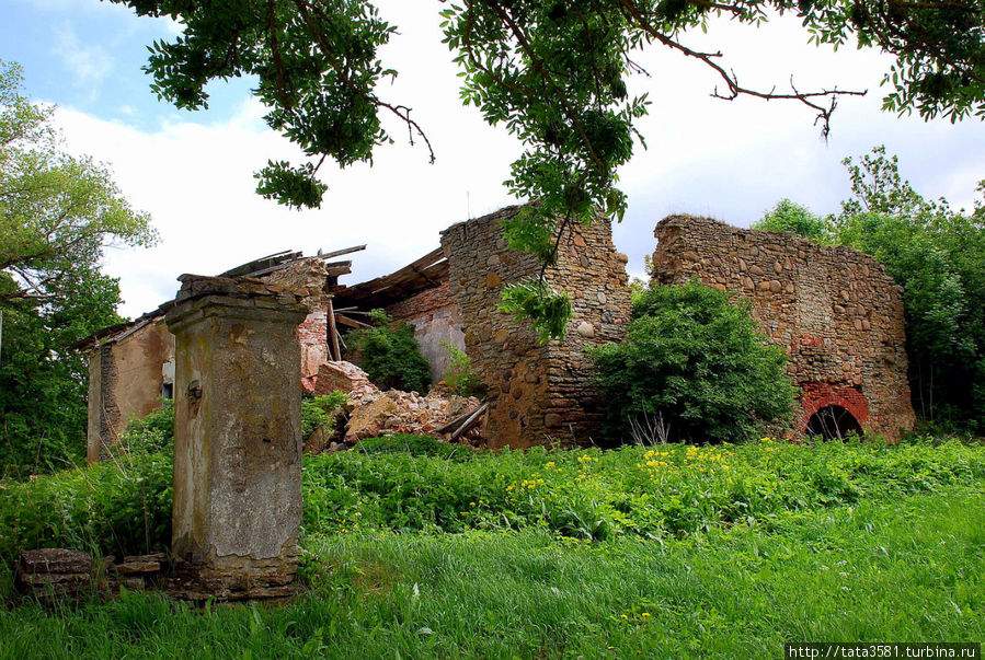 Сохранились руины старого замка Эстония