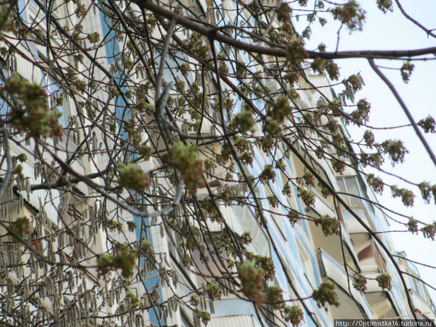 Весна в Москве. А точнее — весна в моём районе, в Чертанове Москва, Россия