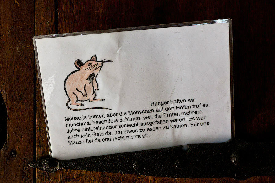 Мыши — друзья человека. Билефельд, Германия
