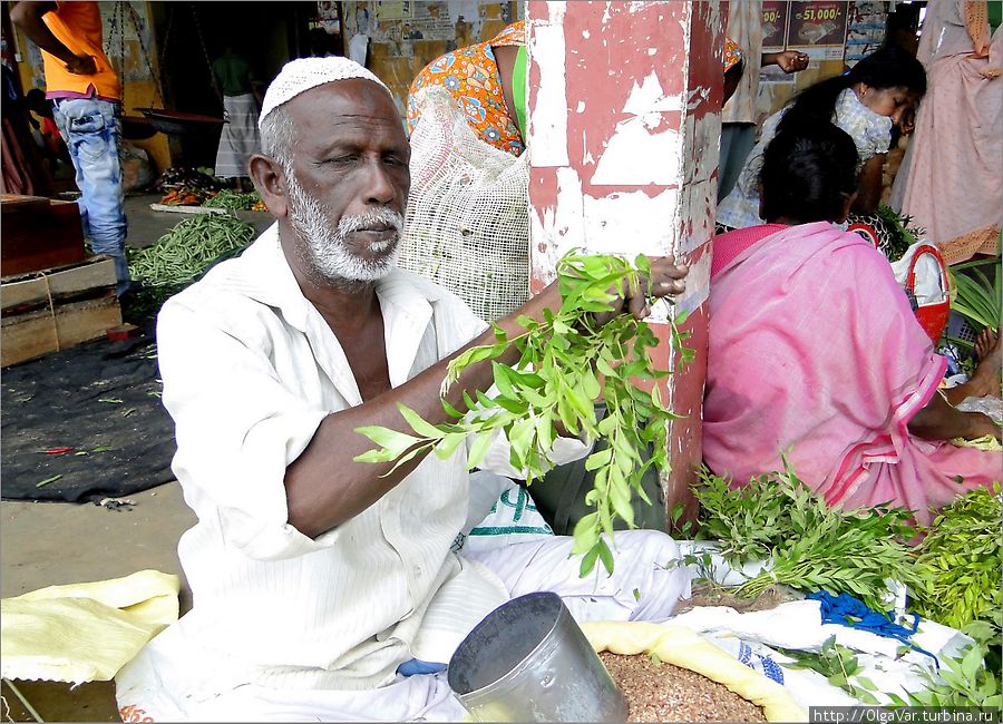 Продавец зелени и риса Тринкомали, Шри-Ланка