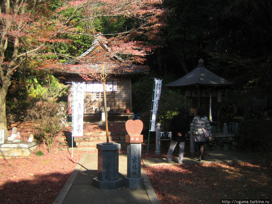 Последний оплот осени в Аити – храм Jakkoin в Инуяма
