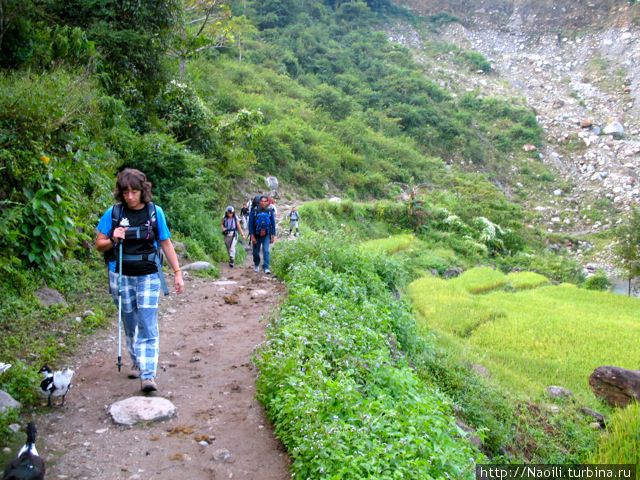 Начали появляться туристы Аннапурна Национальный Парк, Непал