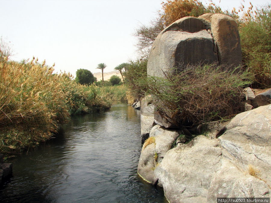 На мотоботе по протокам Нила Египет